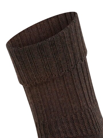 FALKE Socks 'Striggings Rib' in Brown