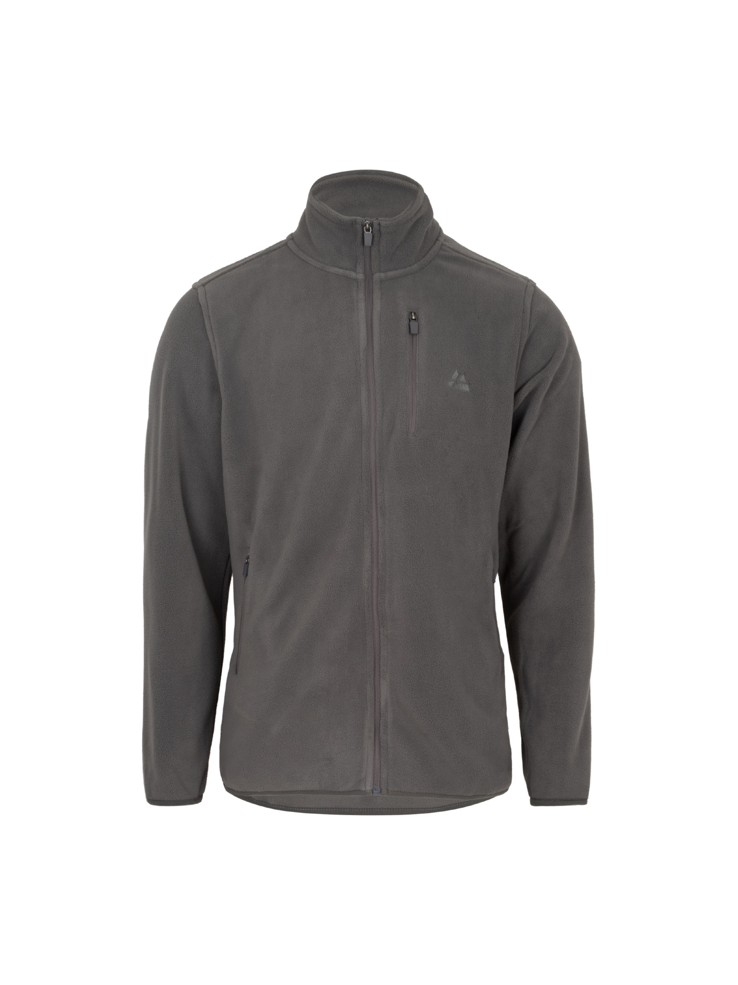 Veste en polaire DANISH ENDURANCE en gris : devant