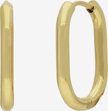 Lucardi Earrings in Gold: front