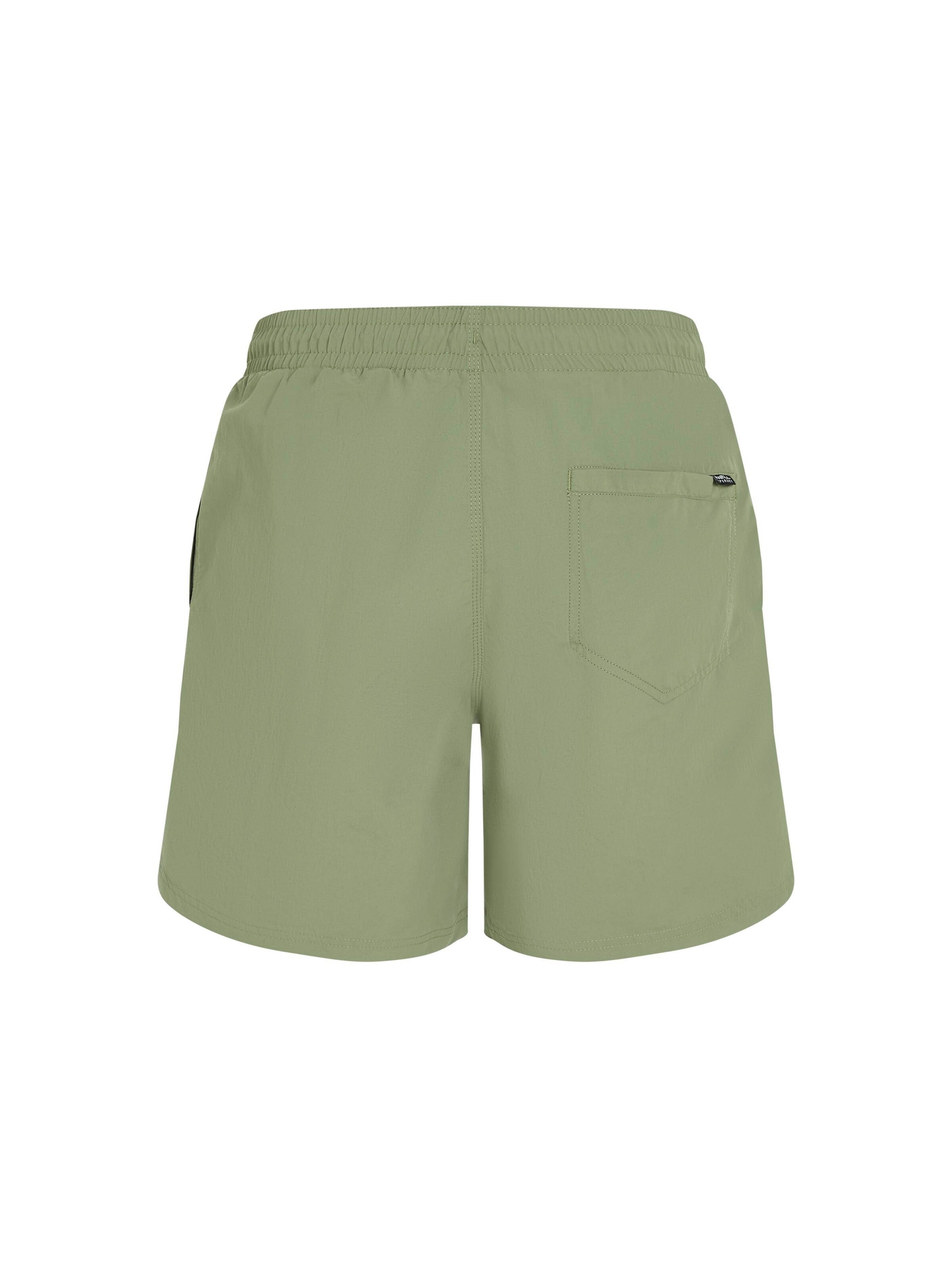 O'NEILL Badeshorts 'Vert 16' i grøn