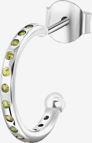 Lucardi Earrings in Silver: front