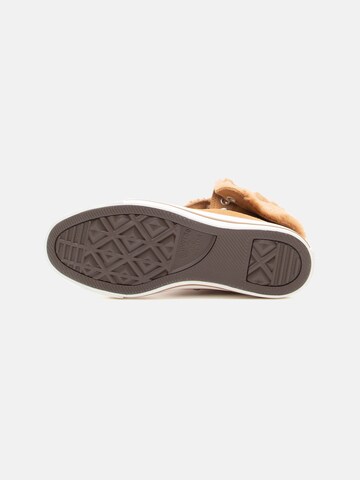 CONVERSE Високи маратонки 'CTAS' в кафяво