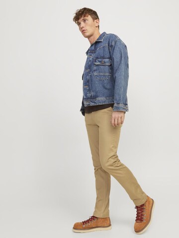 JACK & JONES Regular Pants in Brown