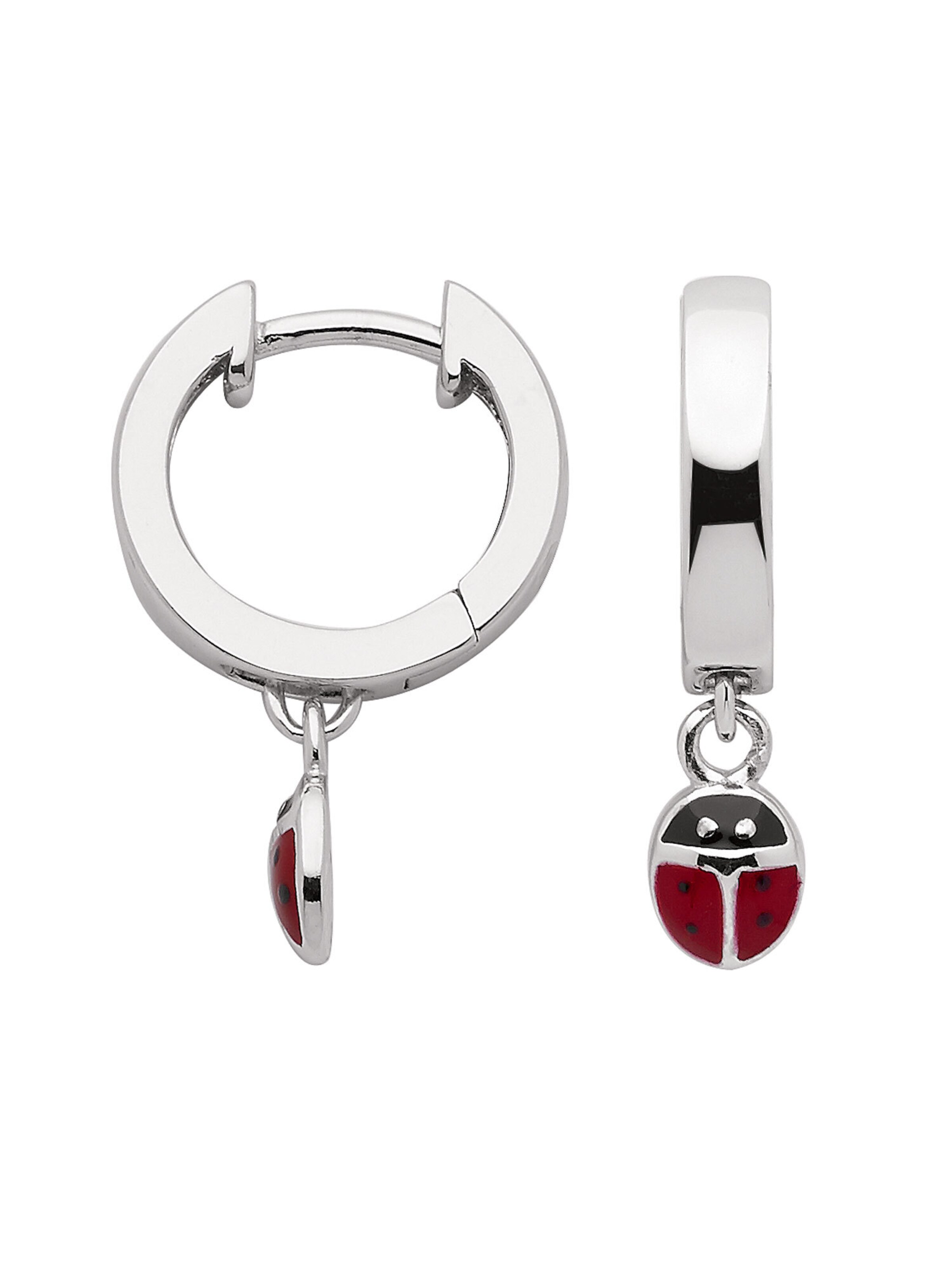 Adelia´s Earrings in Silver: front