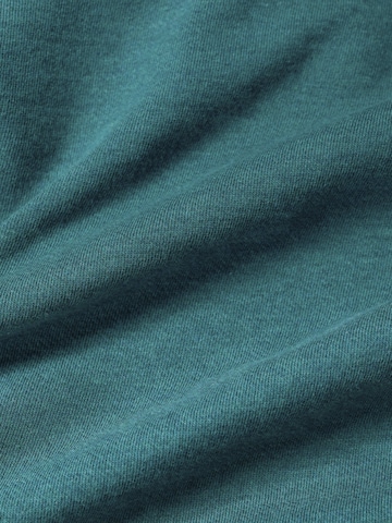 Seasalt Cornwall Trui in Groen