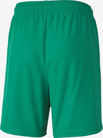Regular Pantalon de sport 'TeamGOAL 23' PUMA en vert