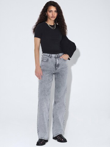 Dr. Denim Regular Jeans 'Echo High Straight' in Grey