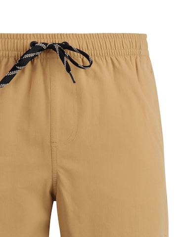 PROTEST Swimming shorts 'PRTBaky' in Brown