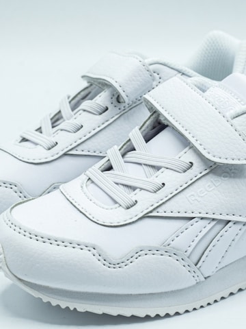 Reebok Sneaker 'Royal Classic Jogger' in Weiß