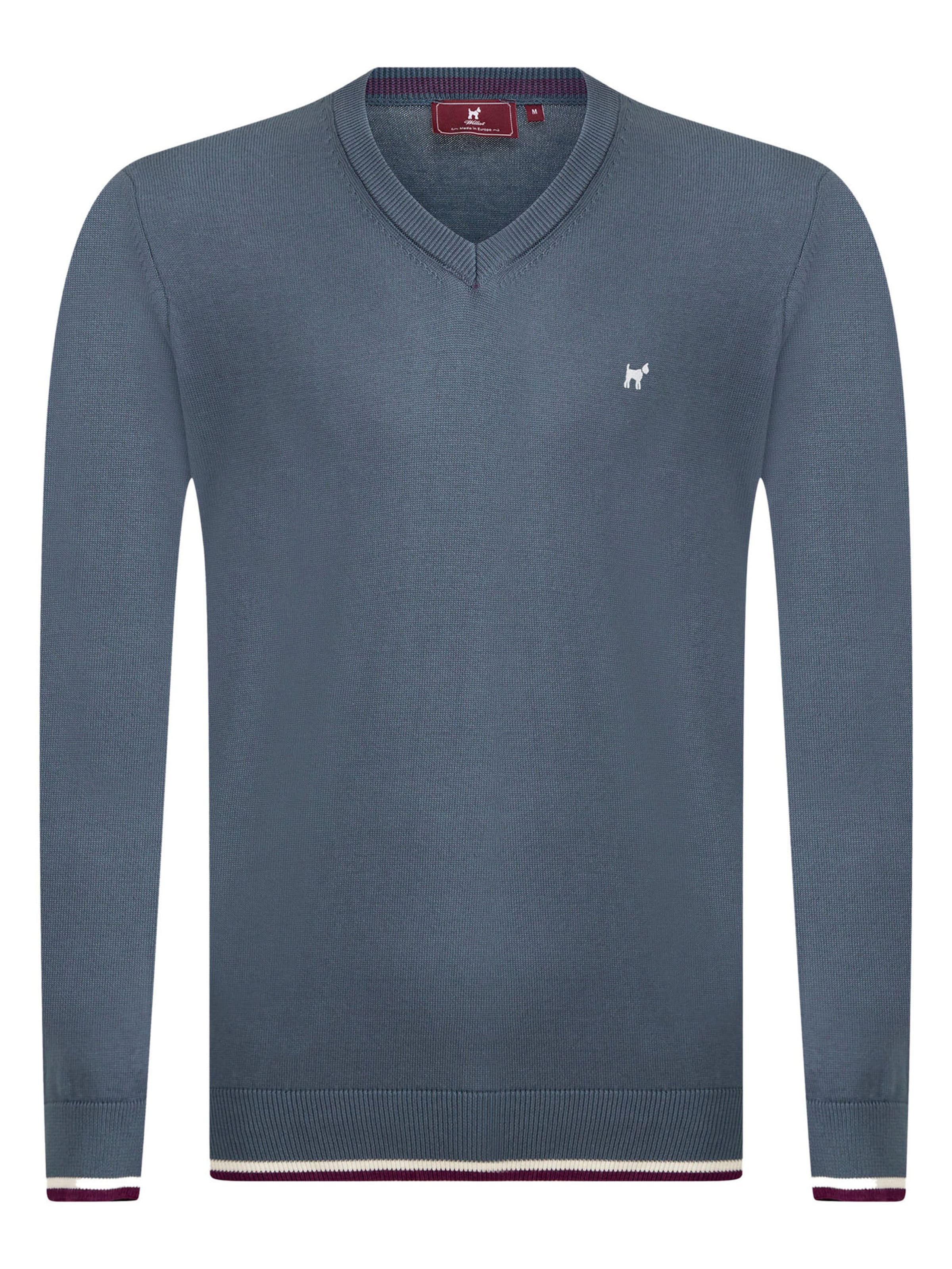 mėlyna Williot Megztinis: priekis