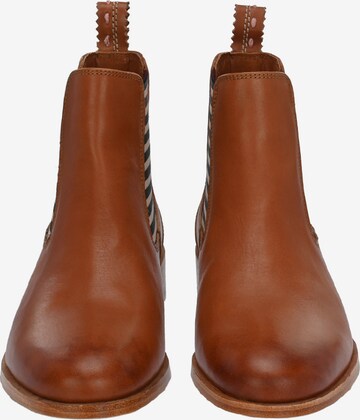 Chelsea Boots Crickit en marron