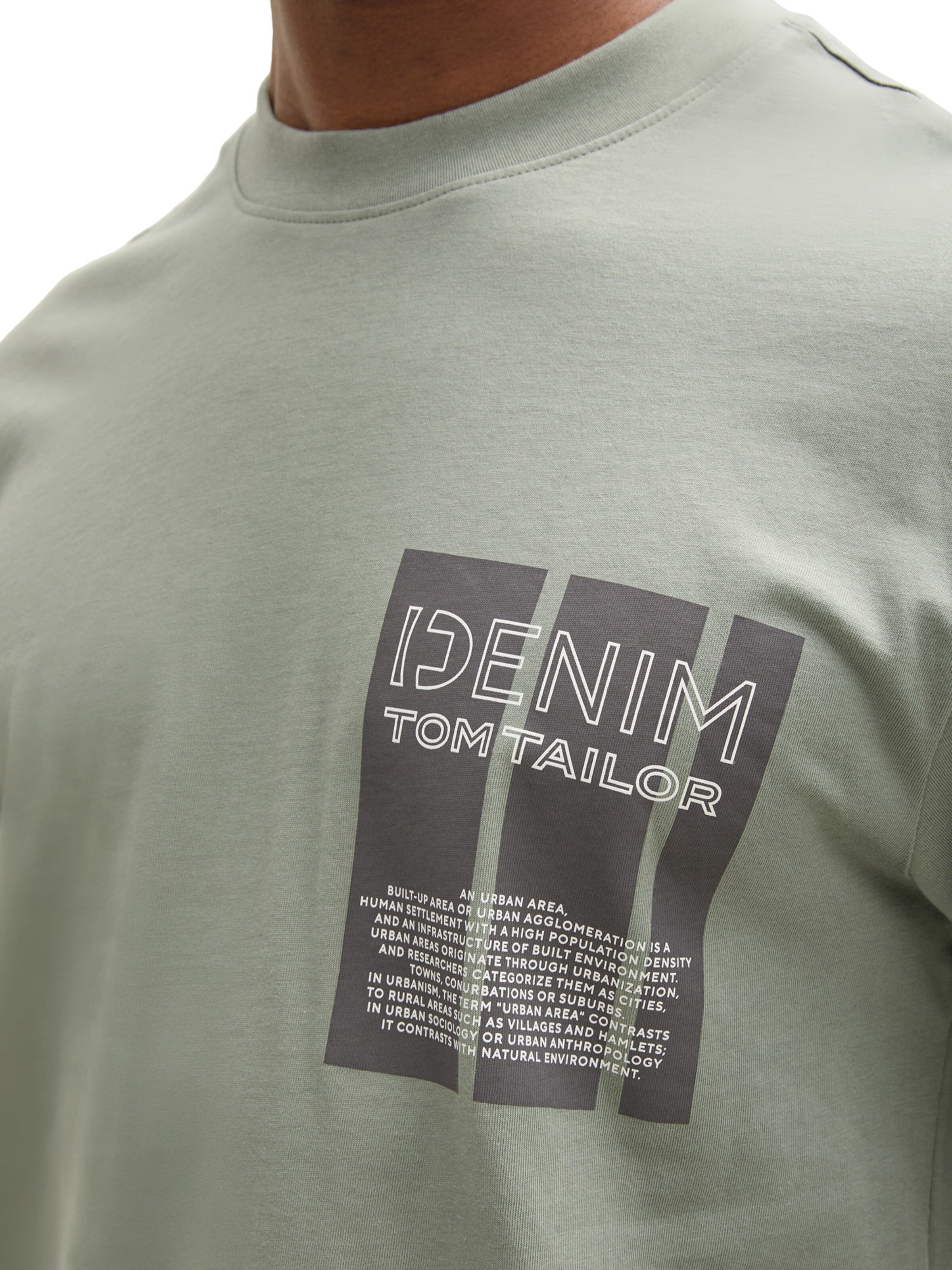 TOM TAILOR DENIM Shirt in Grijs