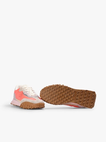 Sneaker bassa ' ' di Scalpers in rosa