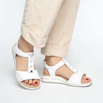 ARA Sandals in White