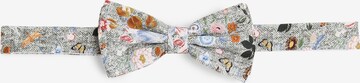 Prince BOWTIE Bow Tie in Mixed colors: front