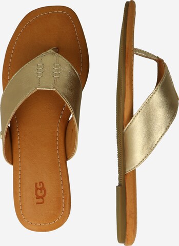 UGG Zehentrenner 'Carey' in Gold