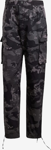 Pantalon cargo ADIDAS ORIGINALS en gris : devant