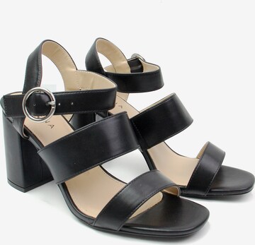 Celena Pumps 'Charlyn' in Schwarz