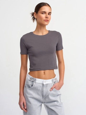 T-shirt Dilvin en gris : devant