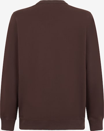 Sweat-shirt 'AITKIN' DICKIES en marron