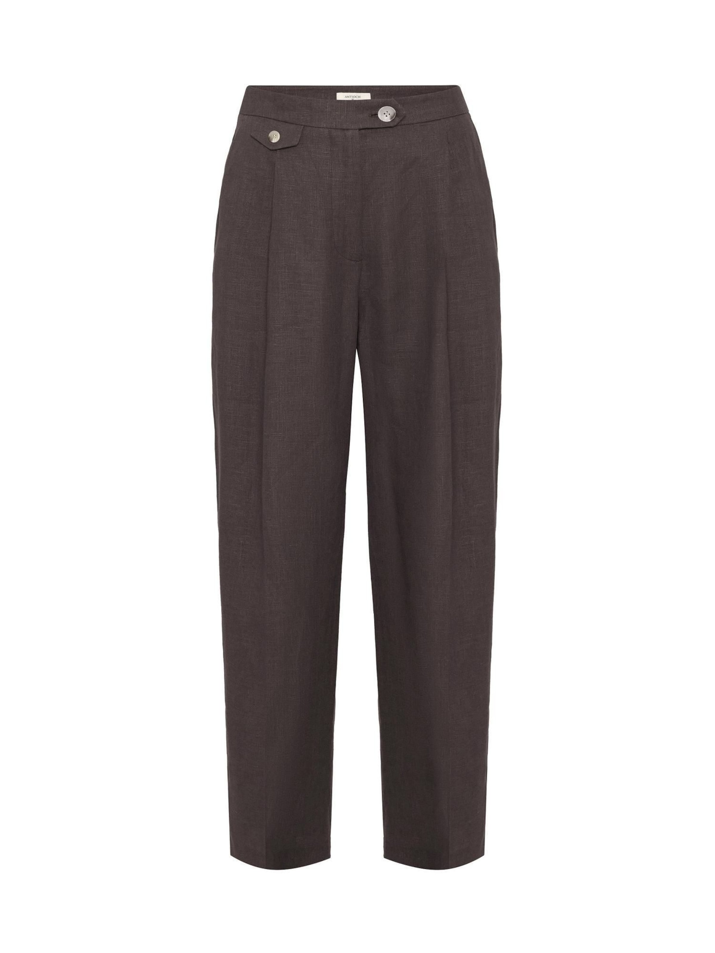 Antioch Voľný strih Plisované nohavice - Hnedá: predná strana