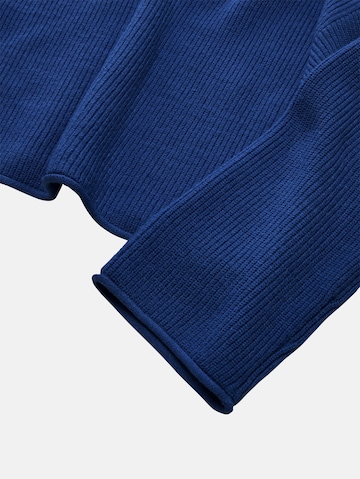 TOM TAILOR Trui in Blauw