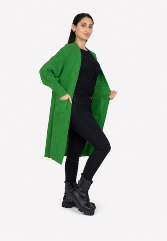 Elara Gebreid vest in Groen