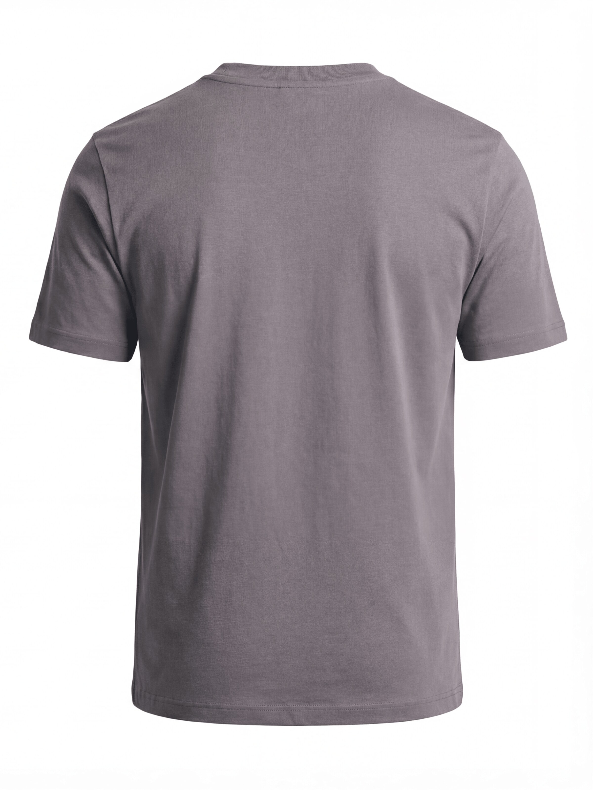 Antargo Shirt 'High Neck' in Grey