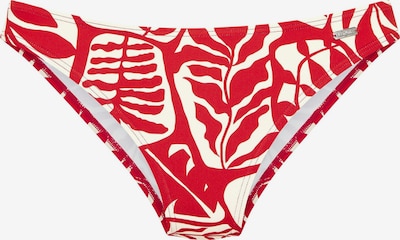 BUFFALO Bikini donji dio veličine XS u crvena / bijela, Pregled proizvoda