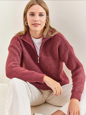 Pull-over 'Pullover' Bianco Lucci en rose : devant