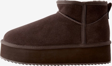 ruda Next Aulinukai: priekis