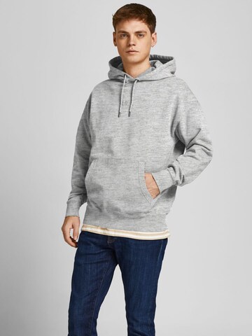 R.D.D. ROYAL DENIM DIVISION Sweatshirt in Grijs: voorkant