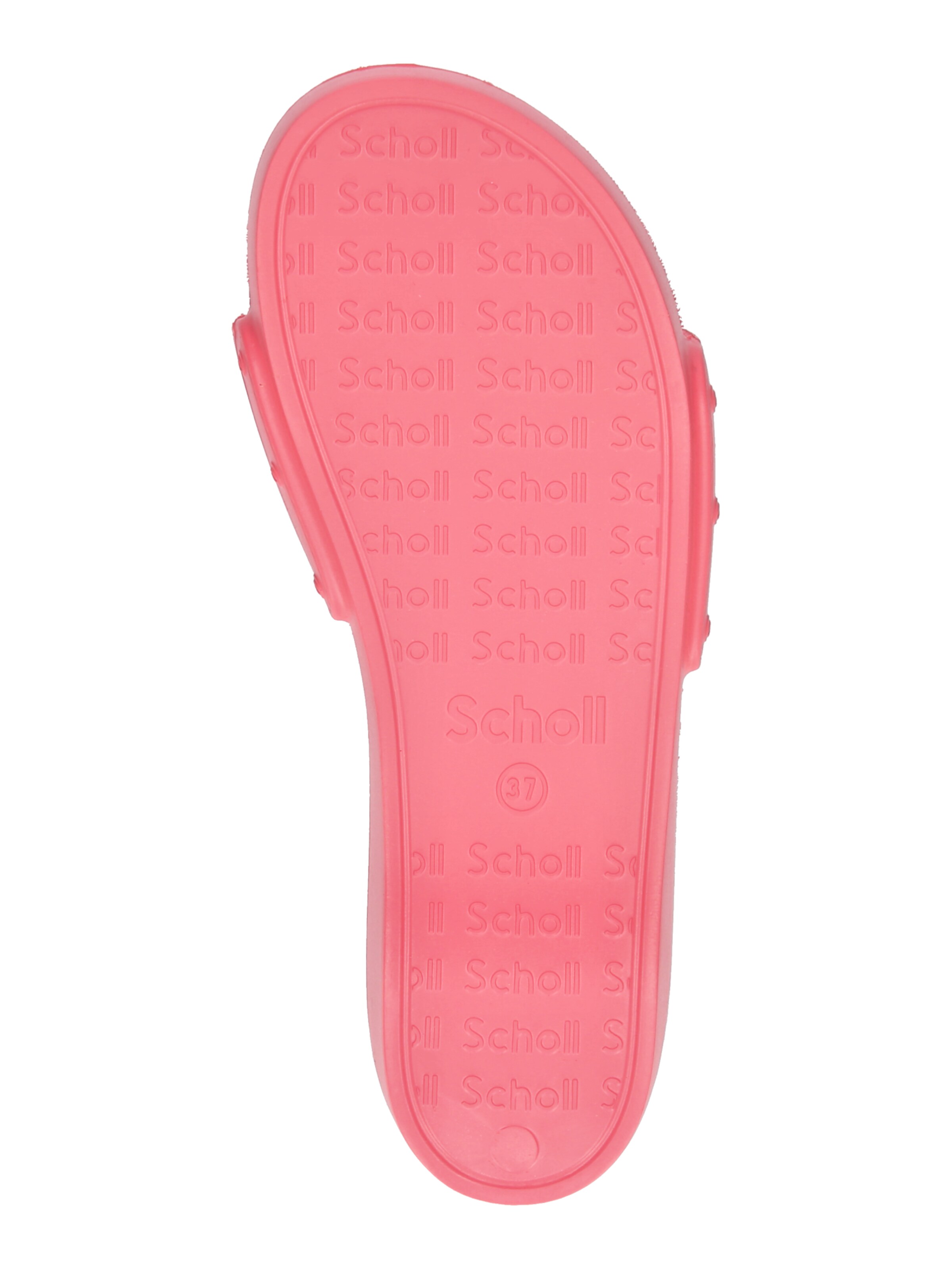 Scholl Iconic Пантолеты 'PESCURA Lea' в Красный