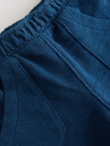 Next Regular Trousers in Blue