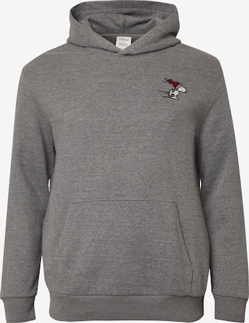 s.Oliver Sweatshirt in Grey: front