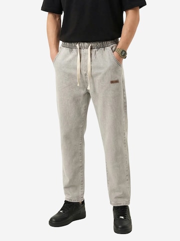 Bigdart Trousers 'Hose' in Grey