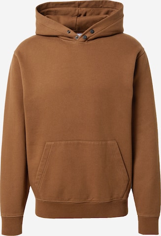 REPLAY Sweatshirt in Brown: front