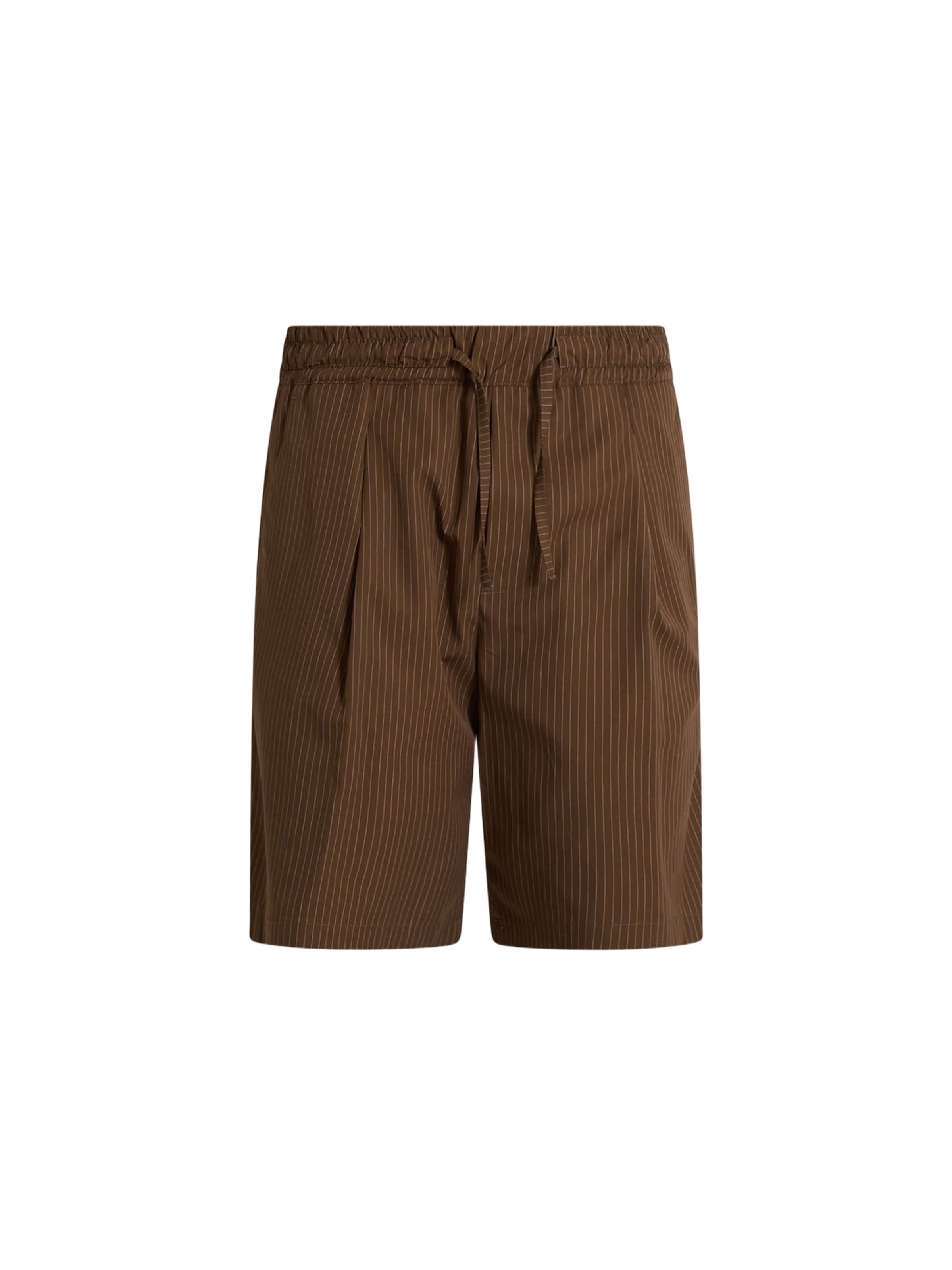 Pantaloni con pieghe di LOW BRAND in marrone: frontale