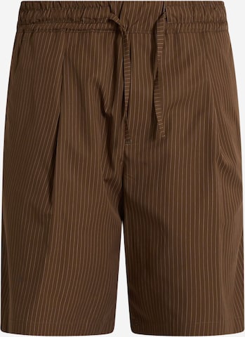 Pantaloni con pieghe di LOW BRAND in marrone: frontale