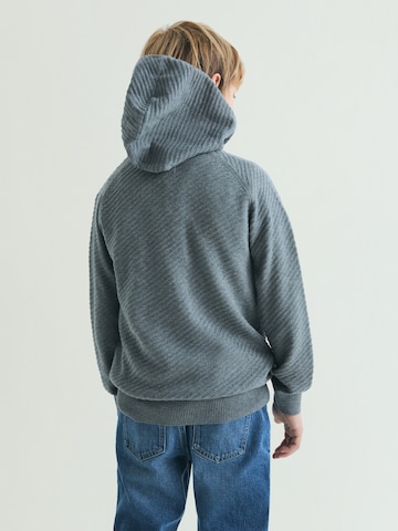 Scalpers Collegepaita värissä harmaa