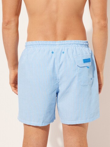 CALZEDONIA Board Shorts in Blue