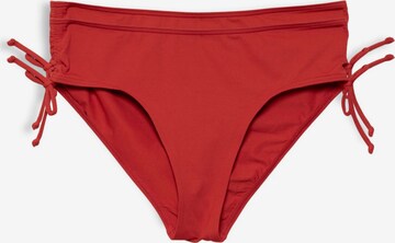 Esprit Bodywear Bikini Bottoms in Red: front