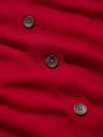 Seasalt Cornwall Cardigan 'Tern Tide' i rød