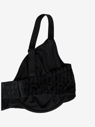 Devoted by Zizzi T-shirt Bra in Black