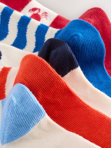 Next Socks in Blue