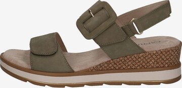 CAPRICE Sandalen met riem in Groen