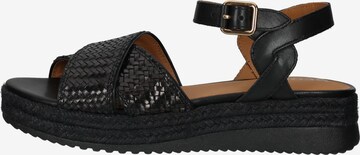 GEOX Sandalen met riem in Zwart