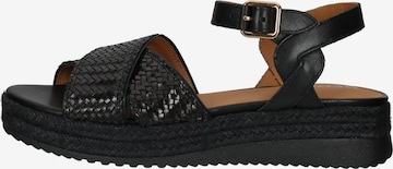 GEOX Sandalen met riem in Zwart