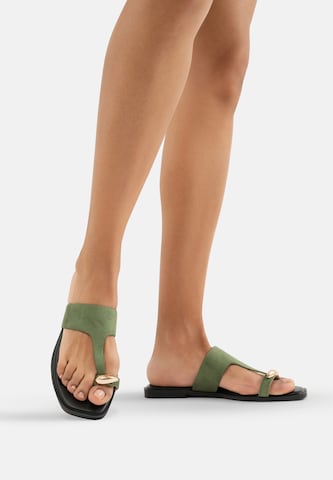 Salinyang Teenslipper in Groen