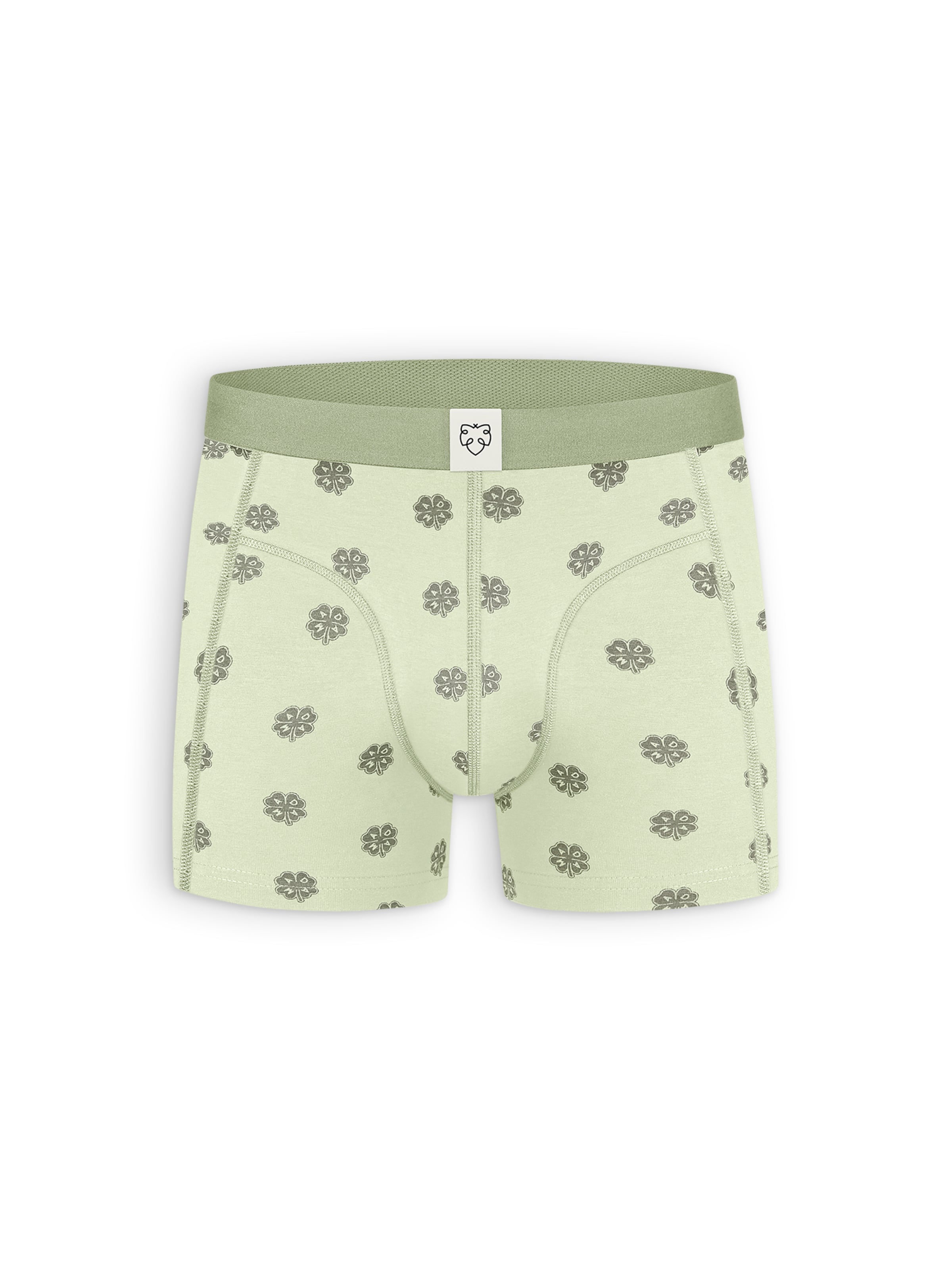 A-dam Boxer shorts in Green: front